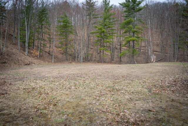 9184 S M-37 Hwy, Wellston, MI 49689 - view of yard featuring a wooded view