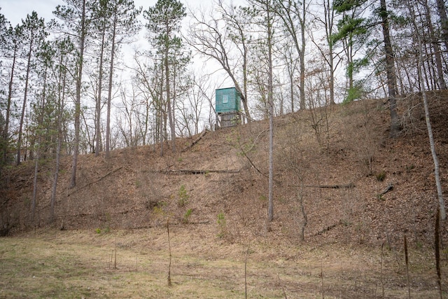 9184 S M-37 Hwy, Wellston, MI 49689 - view of local wilderness