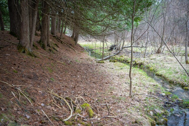 9184 S M-37 Hwy, Wellston, MI 49689 - view of nature
