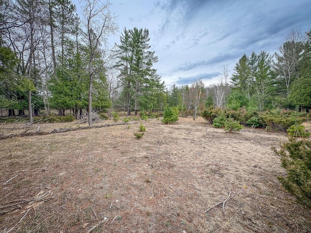 9184 S M-37 Hwy, Wellston, MI 49689 - view of yard