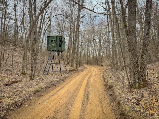 9184 S M-37 Hwy, Wellston, MI 49689 - view of dirt / gravel road