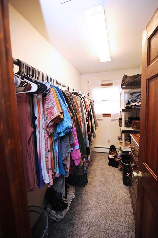 53240 Hemlock Lake Rd, Marcellus, MI 49067 - walk in closet with a baseboard radiator and carpet flooring