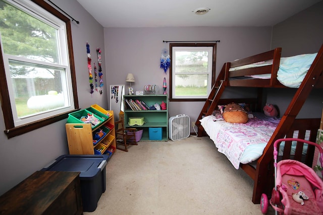 53240 Hemlock Lake Rd, Marcellus, MI 49067 - view of carpeted bedroom