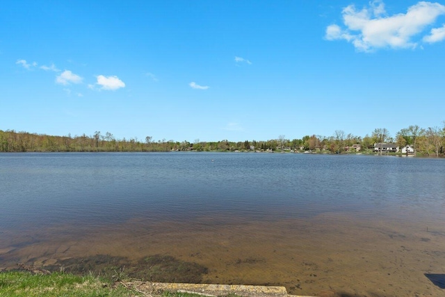 11771 Shenandoah Dr, Green Oak Twp, MI 48178 - water view