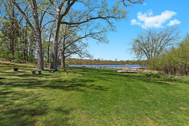 11771 Shenandoah Dr, Green Oak Twp, MI 48178 - view of grassy yard with a water view