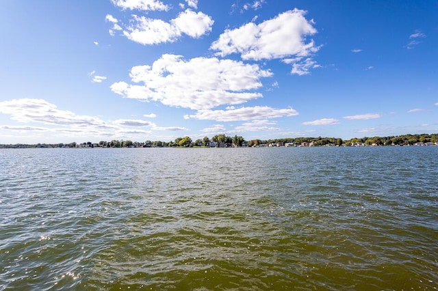 109 Diversy Dr, Brooklyn, MI 49230 - view of water feature