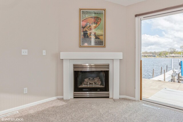 257 Shoreview Way Unit 9, Saint Joseph, MI 49085 - detailed view of a fireplace, carpet floors, and baseboards