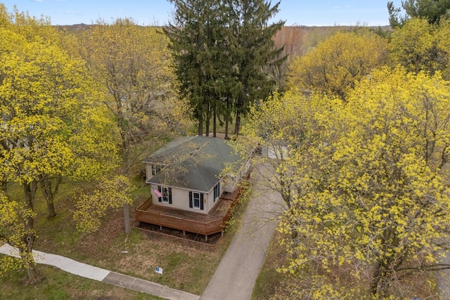 308 Niles St, Lakeview, MI 48850 - photo 14