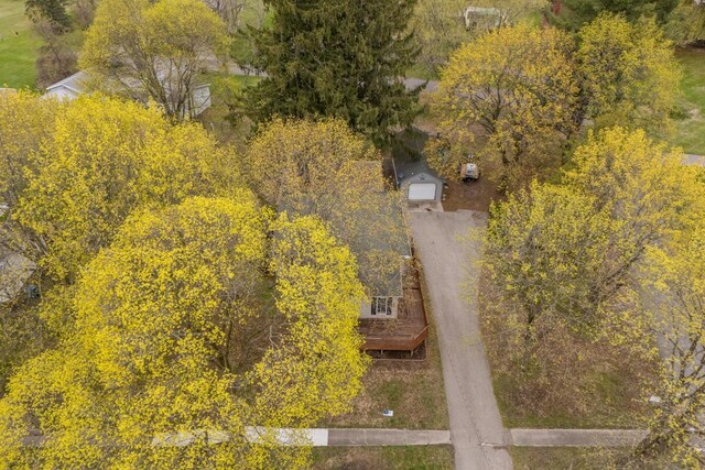 308 Niles St, Lakeview, MI 48850 - photo 15