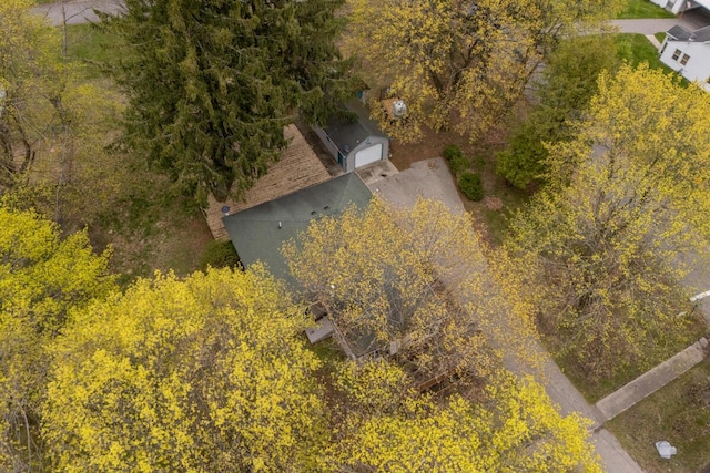 308 Niles St, Lakeview, MI 48850 - photo 16