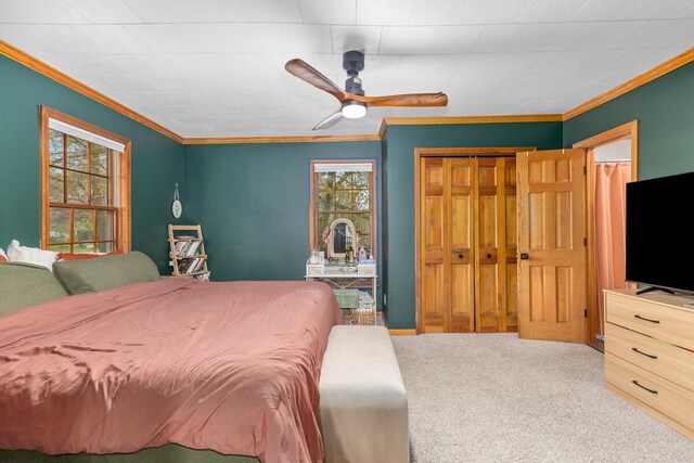 308 Niles St, Lakeview, MI 48850 - photo 24