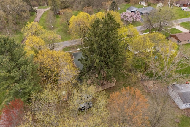 308 Niles St, Lakeview, MI 48850 - photo 29