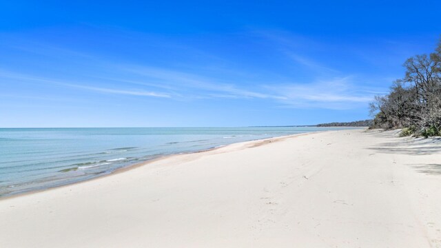 16220 Stones Throw Ln, Union Pier, MI 49129 - view of water feature featuring a view of the beach