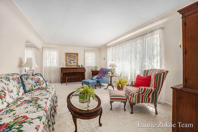 347 Dewitt Ln, Spring Lake, MI 49456 - living room with carpet and baseboards
