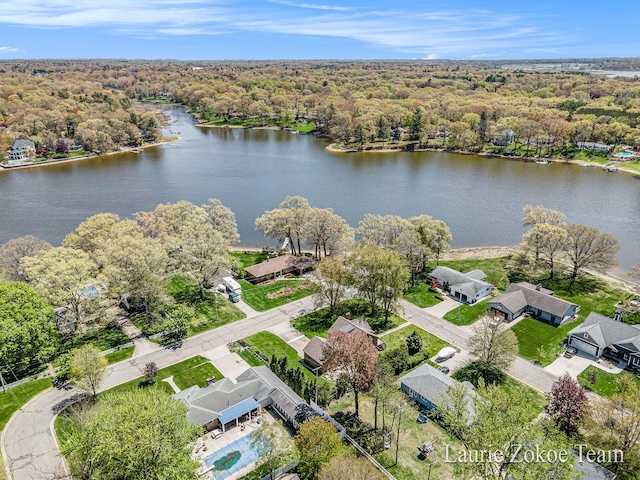 347 Dewitt Ln, Spring Lake, MI 49456 - aerial view of residential area featuring a large body of water and a heavily wooded area