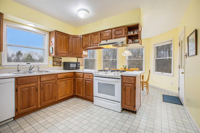 kitchen featuring white appliances, light countertops, under cabinet range hood, brown cabinets, and a sink