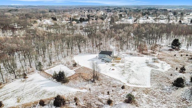 view of snowy aerial view
