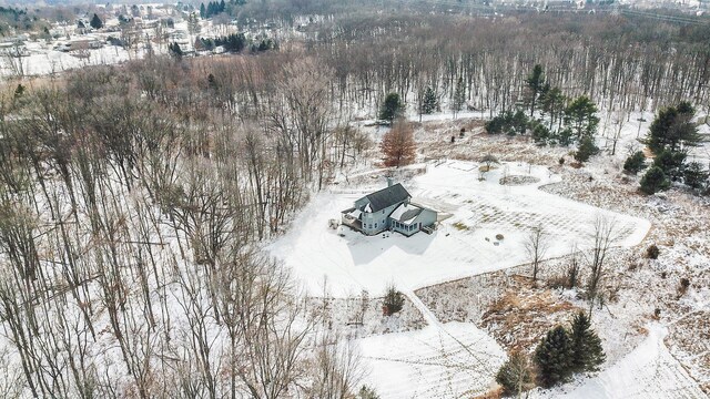 view of snowy aerial view