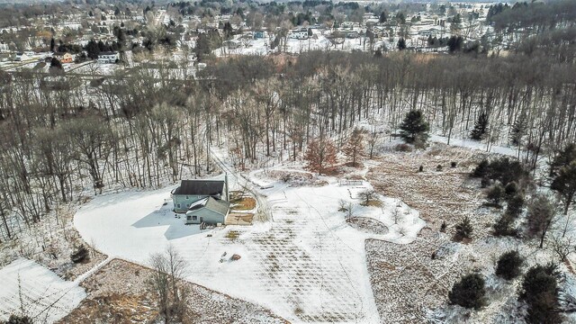 view of snowy aerial view