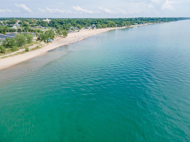 815 Wolcott Ave, Saint Joseph, MI 49085 - bird's eye view of unending shoreline