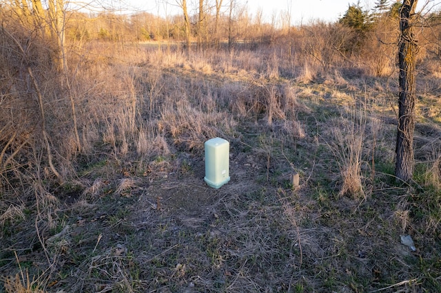 38351/2 Rentz Rd W, Ann Arbor, MI 48103