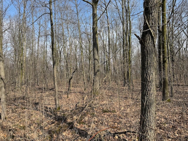 38351/2 Rentz Rd W, Ann Arbor, MI 48103