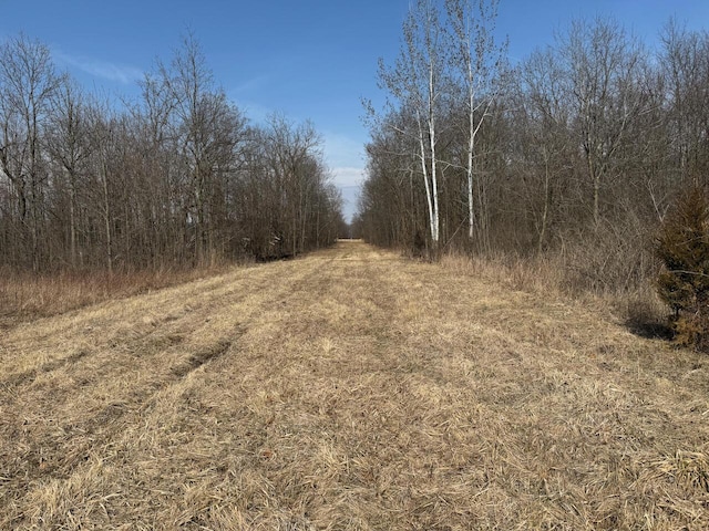 38351/2 Rentz Rd W, Ann Arbor, MI 48103