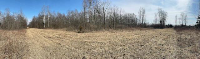 38351/2 Rentz Rd W, Ann Arbor, MI 48103