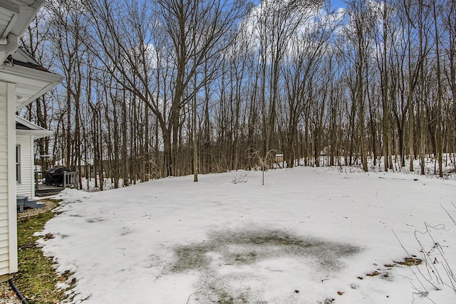6847 Northstar Ave, Kalamazoo, MI 49009 - view of snowy yard