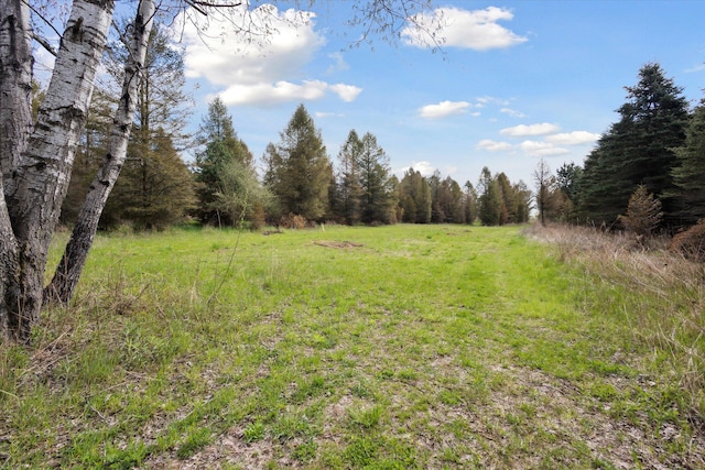1366 Grow Rd NW, Stanton, MI 48888 - view of wooded area