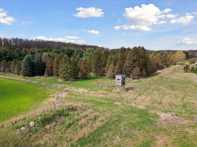 1366 Grow Rd NW, Stanton, MI 48888 - view of yard with a wooded view