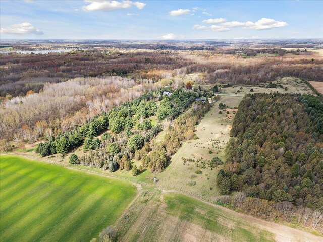 1366 Grow Rd NW, Stanton, MI 48888 - aerial view of property's location with a forest