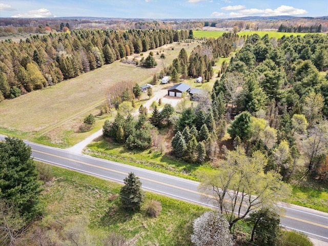 1366 Grow Rd NW, Stanton, MI 48888 - aerial view of a forest