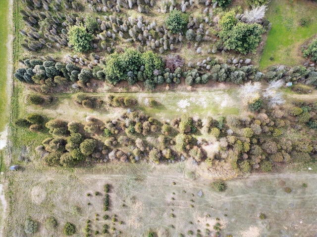 1366 Grow Rd NW, Stanton, MI 48888 - aerial view of property's location