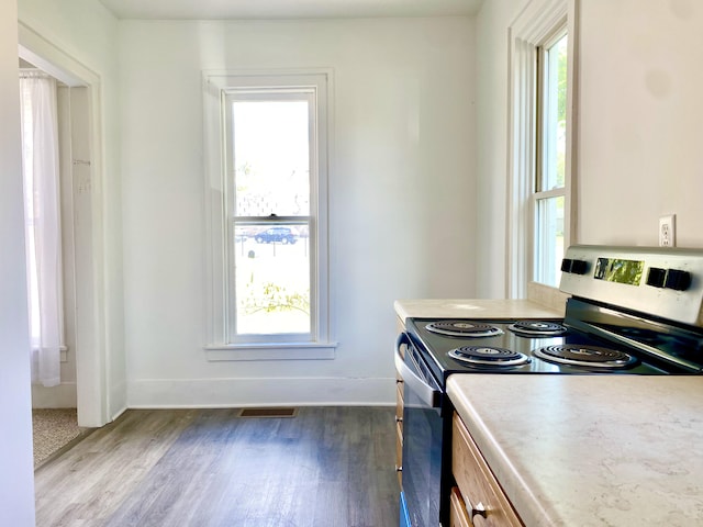 501 E Paw Paw St, Paw Paw, MI 49079 - kitchen with stainless steel range with electric cooktop, plenty of natural light, dark wood finished floors, and baseboards