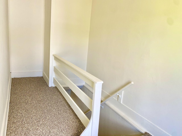 501 E Paw Paw St, Paw Paw, MI 49079 - stairway with carpet flooring and baseboards