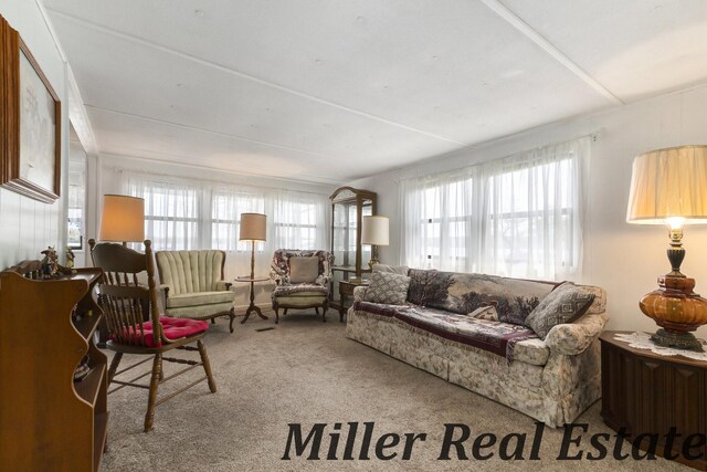 11811 Marsh Rd Unit 10, Shelbyville, MI 49344 - carpeted living room featuring healthy amount of natural light