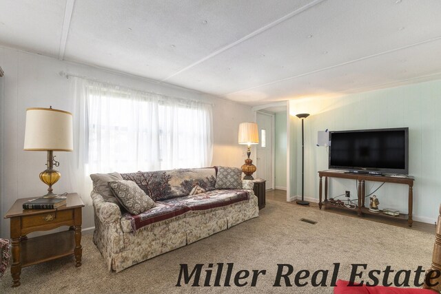 11811 Marsh Rd Unit 10, Shelbyville, MI 49344 - view of carpeted living room
