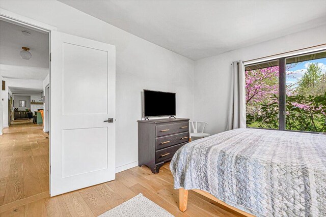 5407 Browntown Rd, Sawyer, MI 49125 - bedroom with light wood-style flooring and baseboards