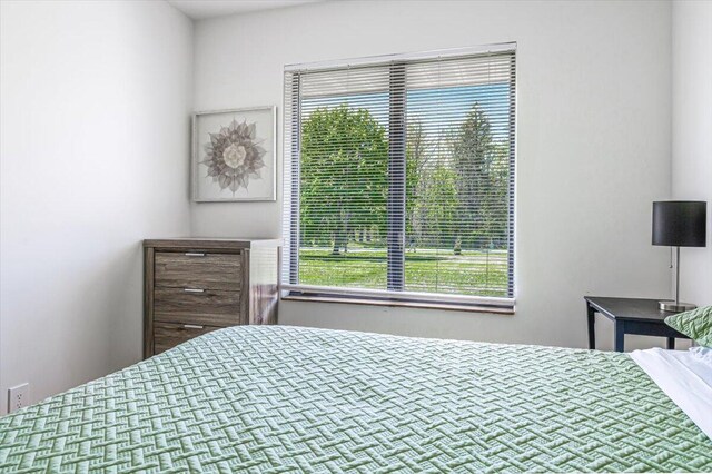 5407 Browntown Rd, Sawyer, MI 49125 - bedroom with multiple windows