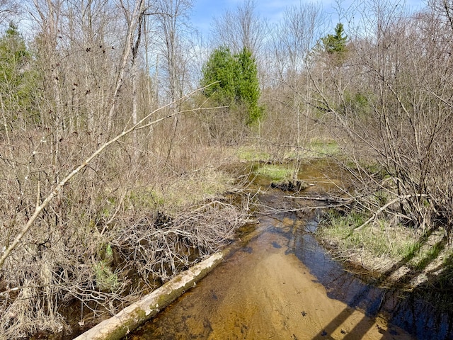 00 N Benson Rd, Fountain, MI 49410