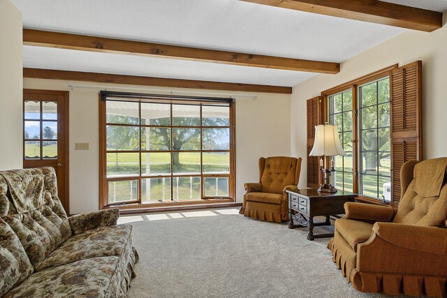 8767 Gray Rd, Baroda, MI 49101 - photo 9