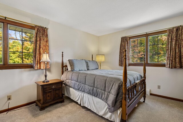 8767 Gray Rd, Baroda, MI 49101 - photo 20