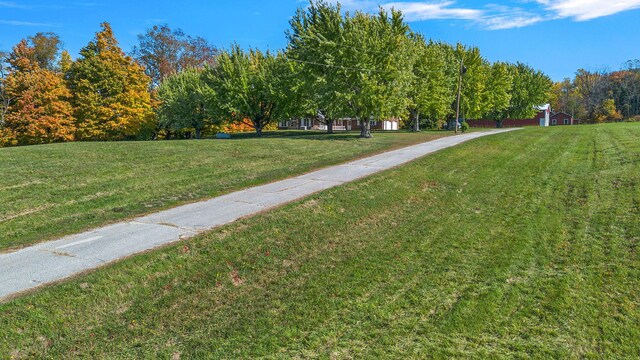 8767 Gray Rd, Baroda, MI 49101 - photo 44