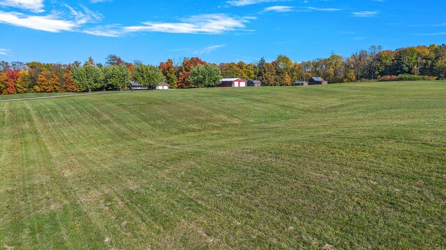 8767 Gray Rd, Baroda, MI 49101 - photo 46