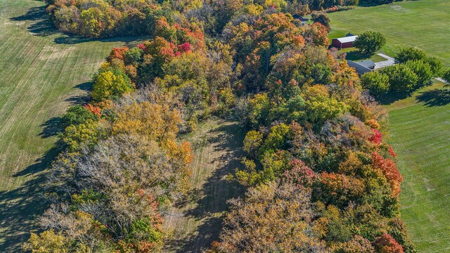 8767 Gray Rd, Baroda, MI 49101 - photo 54