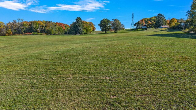 8767 Gray Rd, Baroda, MI 49101 - photo 55