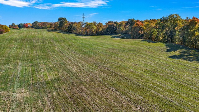 8767 Gray Rd, Baroda, MI 49101 - photo 57