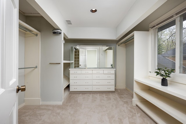 3949 Waldenwood Dr, Ann Arbor, MI 48105 - walk in closet with carpet floors