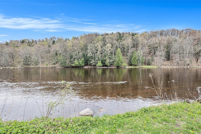 17389 Rapids Dr, Hersey, MI 49639 - water view with a forest